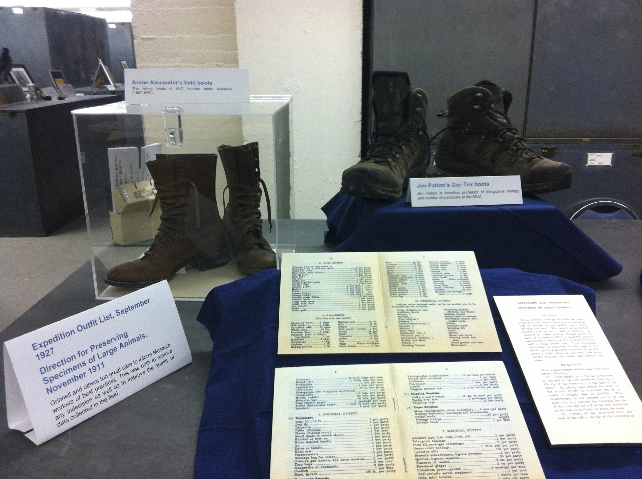 Annie Alexander's hiking boots and the hiking boots of Jim Patton, emeritus professor of integrative biology and curator of mammals at the MVZ, sit at the back of the display. An expedition outfit list from 1927 and a page from 1911's "Direction for Preserving Specimens of Large Mammals" are displayed in the foreground.