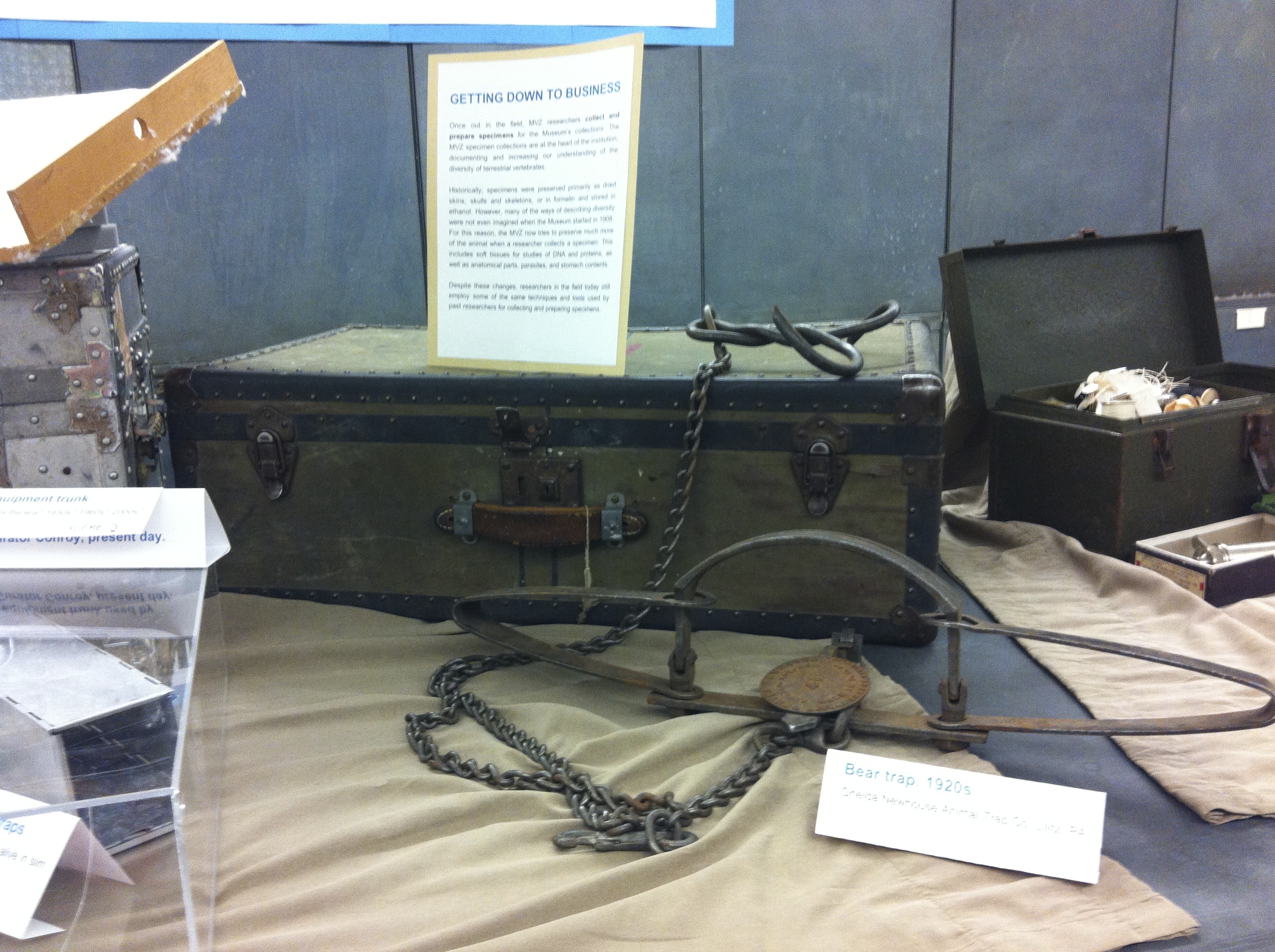 An equipment trunk used in the field today, and a bear trap from the 1920s.