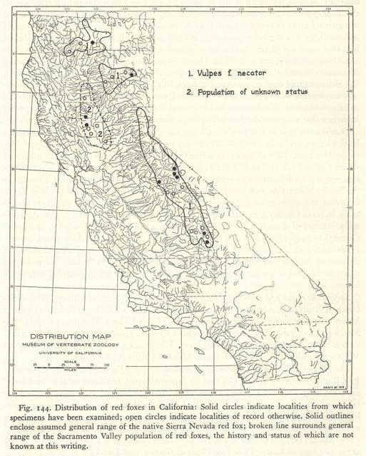 Red fox distribution map from Fur-bearing Mammals of California: Their Natural History, Systematic Status, and Relations to Man (1937), Volume II, page 382, by Joseph Grinnell, Joseph Dixon, and Jean Linsdale.