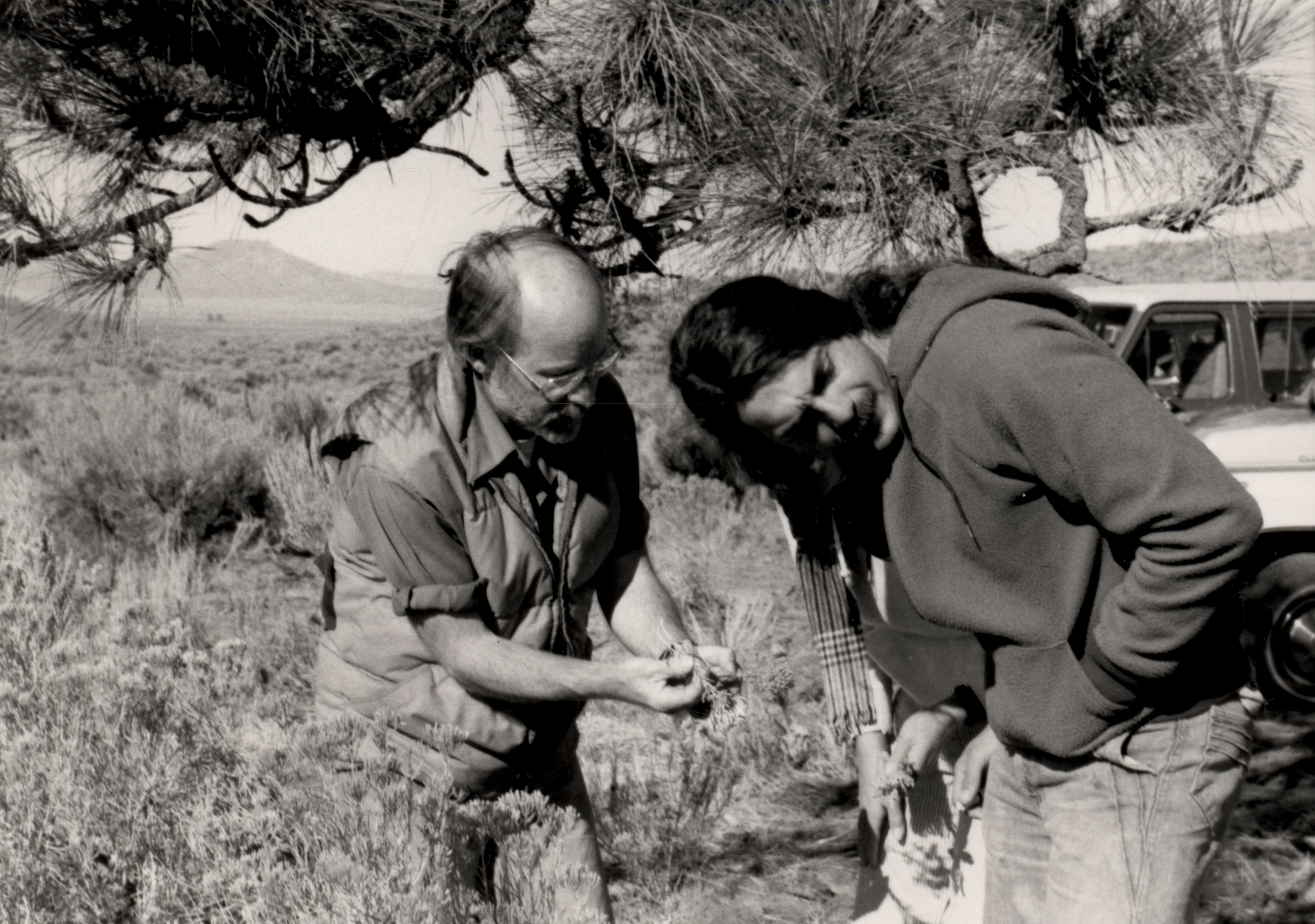 Jim Patton as “teacher and researcher.” Here, Dr. Patton describes differences between similar Sagebrushes under one of few Pines. 3 km NE of Chilcoot, California, 15 September 1985, by Jacek Purat. MVZ Image Number 11610. 
