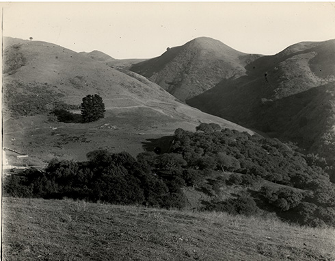 Strawberry Canyon, Berkeley, California, 1890s, probably taken by Andrew C. Lawson